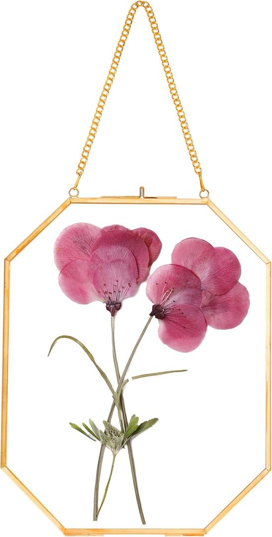 Pressed Flower Frames, Glass Floating Frames for Display Dried Plant Specimen Picture, Hanging Brass Photo Frame with Chain, Double Clear Glass, Vintage Wall Decor, Octagon, Gold, 8x10 Inches