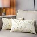 YONGLIU Pack of 2 Velvet Lumbar Throw Pillow Covers Velvet Decorative Soft Gold Foil Geometric Pattern Cute Cushion Case for Modern Homes Sofa Couch Bedroom Living Room Car (White and Gold, 12“X20”)