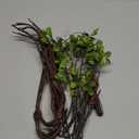 6PCS Fall Stems Artificial Ficus Branches Autumn Table Decor Fall Branches Filler Fake Ficus Twig Plants Fake Leaves for Home Office Party Wedding Centerpieces Shop Decor (Orange)