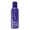 Clairol Professional Shimmer Lights Purple Shampoo fl. Oz | Neutralizes Brass & Yellow Tones For Blonde Silver Gray Highlighted Hair (2 Fl Oz (Pack of 1))