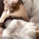 Ultra Soft Cozy Faux Fur Throw Blanket, Fuzzy Plush Thick Bubble Blanket, Oversize Luxury Fluffy Blanket for Couch, Bed, and Living Room, 60x80 Inches, Cream White