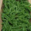 2 Pack 9 Ft Artificial Norfolk Pine Garlands - Christmas Decor Realistic Pine Garland, Green Faux Greenery Garland for Table, Mantle, Fireplace, Wall, Indoor Outdoor Winter Christmas Decorations