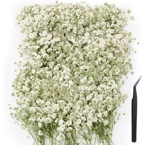 200 pcs Mini Dried Pressed Babys Breath Flowers Bulk - Real Natural Flat Flowers for Epoxy Craft, Scrapbooking, Wedding Invitations, Home Decor, DIY Gifts for Crafters (L-200p c s)