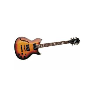 WI67PRO Flame Top Electric Guitar