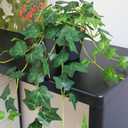 Fake English Ivy Plants in Pots Set of 2 Realistic Artificial Ivy Greenery for Home Decor, Tabletop, Office, Shelf, Balcony or Bathroom Lifelike Faux Hanging Vines, No Maintenance Required