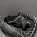 BFPETHOME Orthopedic Dog Beds for Large Dogs-Waterproof Sofa Dog Bed with Removable Washable Cover, Big Pet Bed with Waterproof Lining and Nonskid Bottom, Pet Bed for Large Dogs (42.0"L x 30.0"W x 7.5"Th, Dark Grey)