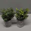2 Pack Small Fake Plants Eucalyptus Potted Artificial Plants for Shelf Desk Home Bathroom Farmhouse Room Coffee Table Decor (Sage Green)