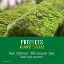NATRIA Lawn Weed and Disease Control, Concentrate, 24 oz, 1,875 SQ FT