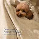 Chenille Throw Blanket for Couch, Cozy Soft Blanket Lightweight Decorative Throw for Living Room Sofa Chair, Stylish Home Decor, Ideal for Gifting, Beige 50"x60"