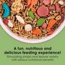 Kaytee Fiesta Rabbit Food, Nutritious and Fun Blend, Supports Dental Health and Digestion, 6.5 pounds
