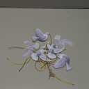 Blosssound 6 Pcs Dove Christmas Ornaments 3 Inch Hanging Dove Ornaments for Tree Xmas Bulk White Birds Peace Love Friendship Hanging Decorations Christmas Acrylic Decor for Wedding Wreath Crafts