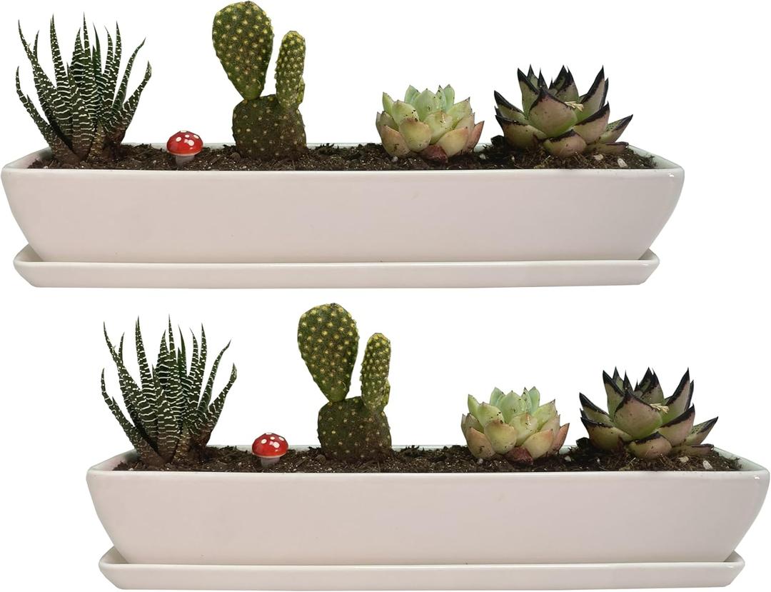 11.1 inch Long Rectangle White Ceramic Succulent Planter Pots with Ceramic Saucers/Mini Flower Plant Containers wPlant Window Boxes for Office/Home, (2 pcs Rectangle Pot)