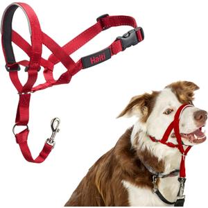 Halti Headcollar - Stop Your Dog Pulling on The Leash. Adjustable, Reflective and Lightweight, with Padded Nose Band. Dog Training Anti-Pull Collar for Medium Dogs (Size 2, Red)