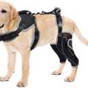 Adjustable Knee Brace for Dogs Back Leg, Hinged Dog Knee Brace for Torn ACL Hind Leg, Dog Knee Brace for Luxating Patella, Dog Brace for Back Leg Support M