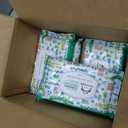 Mama Bear Flushable Toddler Toilet Wipes, Unscented, Formulated without Fragrance, Hypoallergenic, Plant-Based, Septic Safe, 336 Count, 4 Packs of 42