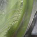 Flexzilla Garden Hose 5/8 in. x 50 ft., Lightweight AllWeather Water Hose, Durable and Flexible, LeakFree Connections