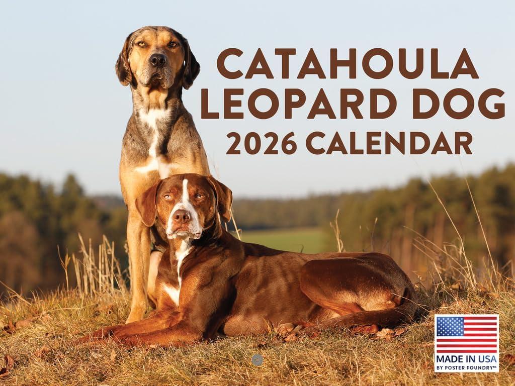 2 x Catahoula Leopard Dog Calendar 2026 Monthly Wall Calender 12 Month | American Made In The USA