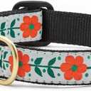 Up Country Orange You Pretty Pattern (Orange You Pretty Dog Collar, Small (9 to 15 Inches) 5/8 Inch Narrow Width)