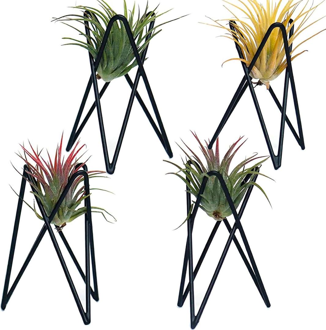 Pack of 4 Air Plant Holder Tillandsia Base, Modern Geometric Metal Air Plant Stand Airplant Display Rack, Tabletop Big Streptophylla Plant Display Table Hand for Home Office Decoration Supplies