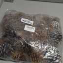 Fovths 66 Pieces Christmas Pine Cones Ornaments with String Natural Rustic Pine Cones Bulk Assorted Sizes Xmas Tree Hanging Pinecone Decoration for Christmas Tree Crafts DIY Gift Party