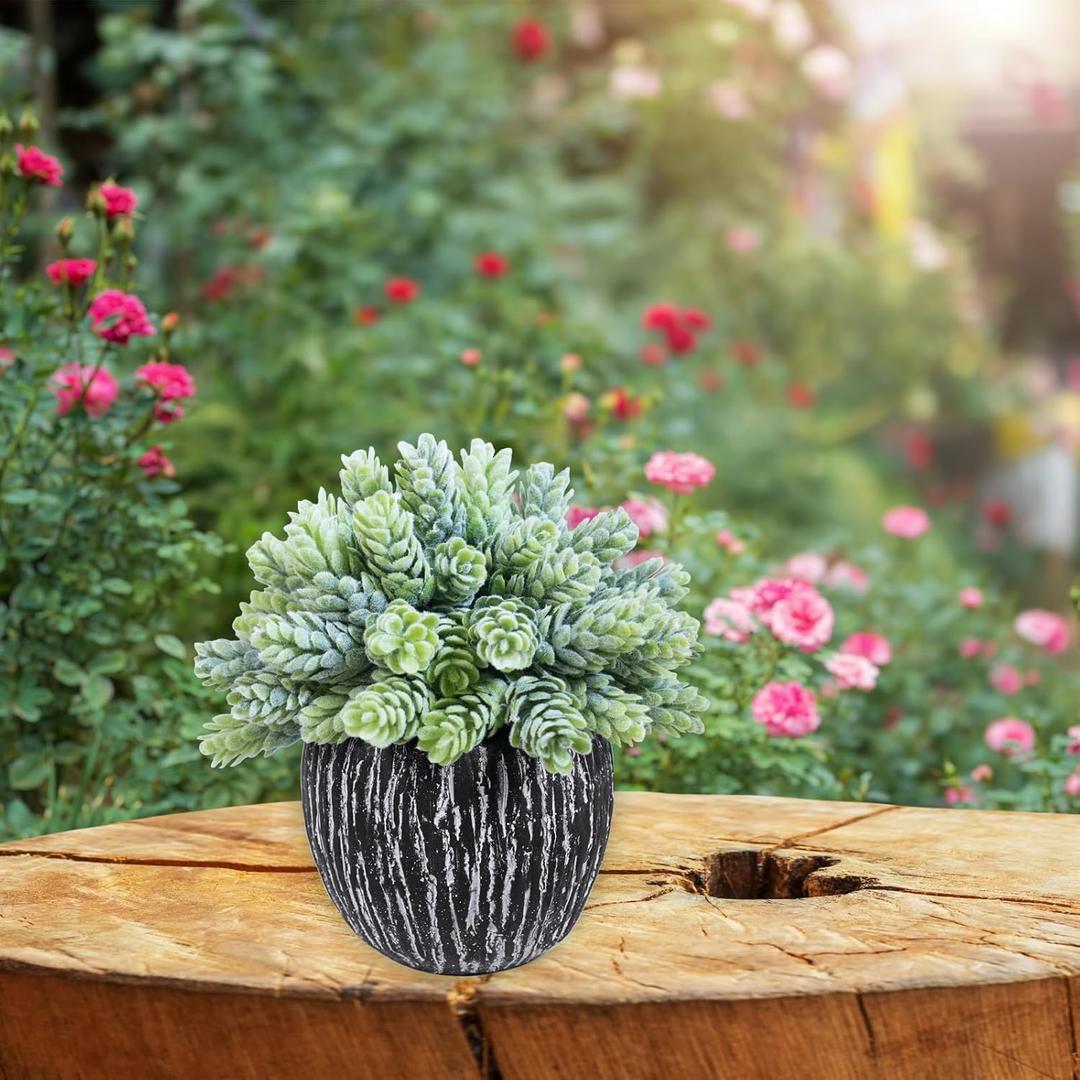 Winlyn Set of 2 Artificial Succulent Plants in Black Pots Fake Hops Aloe String of Pearls Potted Plants Small Faux Plants Desk Plants for Home Office Desk Kitchen Bathroom Shelf Windowsill Decor