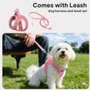 PetiFine Step in Small Dog Harness and Leash Set, Breathable All Weather Air Mesh Reflective Escape Proof, Step-in Vest Harnesses for Puppy(XS, Pink)