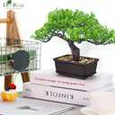Der Rose 8 Inch Fake Plants Artificial Bonsai Tree Ficus for Home Office Desk Table Shelf Japanese Zen Decor Indoor