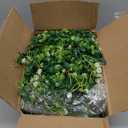 6FT Eucalyptus Garland with Flowers, 6 Pack Artificial Greenery Garland Hanging Spring Eucalyptus Garland Suitable for Table Wedding Backdrop Arch Wall Party UV Protected Indoor Outdoor Decor