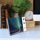 Willow Creek Press Calendars, Bible Verses 2025 Desk Calendar