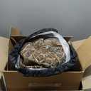 Foxelli Chest Waders, Waterproof 4mm Neoprene Hunting & Fishing Waders for Men & Women with Boots (13, Camo)