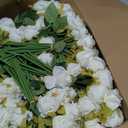 Jexine 240 Pcs Artificial Rose Flowers Bouquet Silk Realistic Flowers Bulk Centerpieces DIY Bride Fake Rose for Home Bridal Wedding Party Decorations(White)