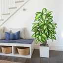 FLOWORLD Artificial Golden Dieffenbachia 4ft Tall Artificial Plants Indoor Decorative Silk Plants Potted Faux Tropical Tree Lifelike House Floor Large Fake Tree for Home Living Room