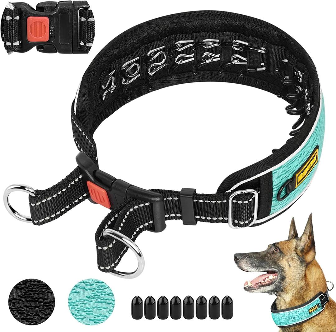 Mayerzon Martingale No Pull Collar for Large Medium Dogs Pitbull German Shepherd Rottweilers, Patented Reflective Anti Pull Dog Walking Collar with Buckle for Training Hiking, Adjustable (L, Cyan)  