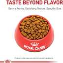 ROYAL CANIN Feline Care Nutrition Hair & Skin Care Adult Dry Cat Food, 6 lbs. (BBD: 20 FEB 2026)