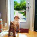 Ideal Security Pressure Floor Mat Home Alarm System Wired Alarm & Chime, Anti-Wandering, Welcome Mat, Pet Door Mat