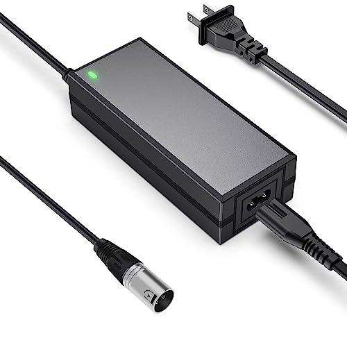 24V 2A Electric Scooter Battery Charger, Suitable for Go Go Elite Traveler, Pride Mobility, Jazzy Electric Chair Battery, and Plus Ezip Mountain Trailz 3-pin XLP Scooter Charger