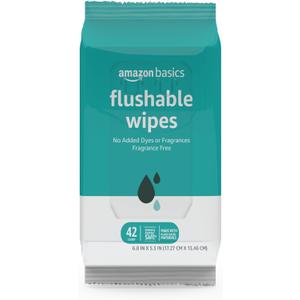 Basics Flushable Adult Toilet Wipes, Fragrance Free, 42 Count (Pack of 8) (Total 336 Wipes) (Previously Solimo)