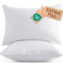 Throw Pillow Inserts 20x20 Set of 2 - Fluffy Down Alternative Fill - 10% More Fill Than Standard Loft - Plump Bounce-Back Support for Indoor & Outdoor Use - Hypoallergenic & Machine Washable - White