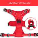 PoyPet No Pull Dog Harness, No Choke Reflective Dog Vest, Adjustable Pet Harnesses with Easy Control Padded Handle for Small Medium Large Dogs(Red Matching Trim,S)