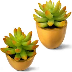 VANGOLD (2-Pack) Bring Nature Indoors Artificial Succulents in Fashionable Golden Flower Pots - Perfect for Home, Office, and Event Decor