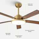52 Inch Gold Ceiling Fans with Lights and Remote/APP, Modern Sleek Black and Gold Ceiling Fan, ETL Listed, Indoor Outdoor Smart Black Ceiling Fan for Bedroom Living Room Patio, 3CCT, 6 Speeds