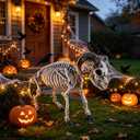 DR.DUDU Halloween Skeleton Goat Decorations, 26 Inch Long Animal Skeletons