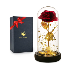 Valentines Rose Gifts for Her Birthday Gifts for Women Valentines Flower Galaxy Glass Rose with 2 Light Modes Forever Eternal Colorful Gold Foil Rose in Glass Dome,Anniversary Valentines Women Gifts
