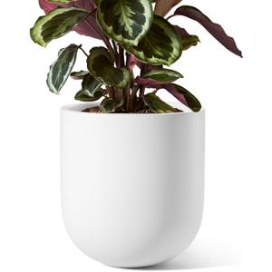 LE TAUCI 8 Inch Plant Pot, Ceramic Pot with Drainage Hole & Rubber Plug, Indoor Planter for Herbs & Small Houseplants, Cylinder Planter for Home Office, White
