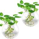 Wall Vases,Wall Hanging Planter Propagation Station,Clear Plant Terrarium Wall Vase,2 PCS Glass Wall Vases for Flowers,Hydroponics Plants,Home Office Decor Present (Plants Not Included)