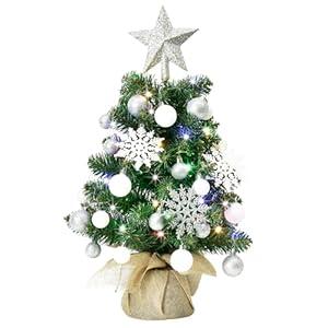 HOYECHI 24" Mini Christmas Tree - Small Tabletop Artificial Xmas Tree with Lights, Star Treetop, Ornaments Balls, DIY Christmas Decorations - Green & White