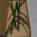 PERSZEN 6 Pack Stackable Monstera Plant Support, Plant Stakes for Indoor and Outdoor Plants Use, Garden Stakes for Climbing and Potted Plants, Pothos, Philodendron