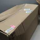 Arm & Hammer Rimmed Cat Litter Box with High Sides and Microban, Made in USA