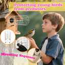 2Pcs Bluebird House Predator Guards,Metal Predator Guard Bluebird House,Bird House Wire Entrance Guard (Round 9 * 4.7 inches)