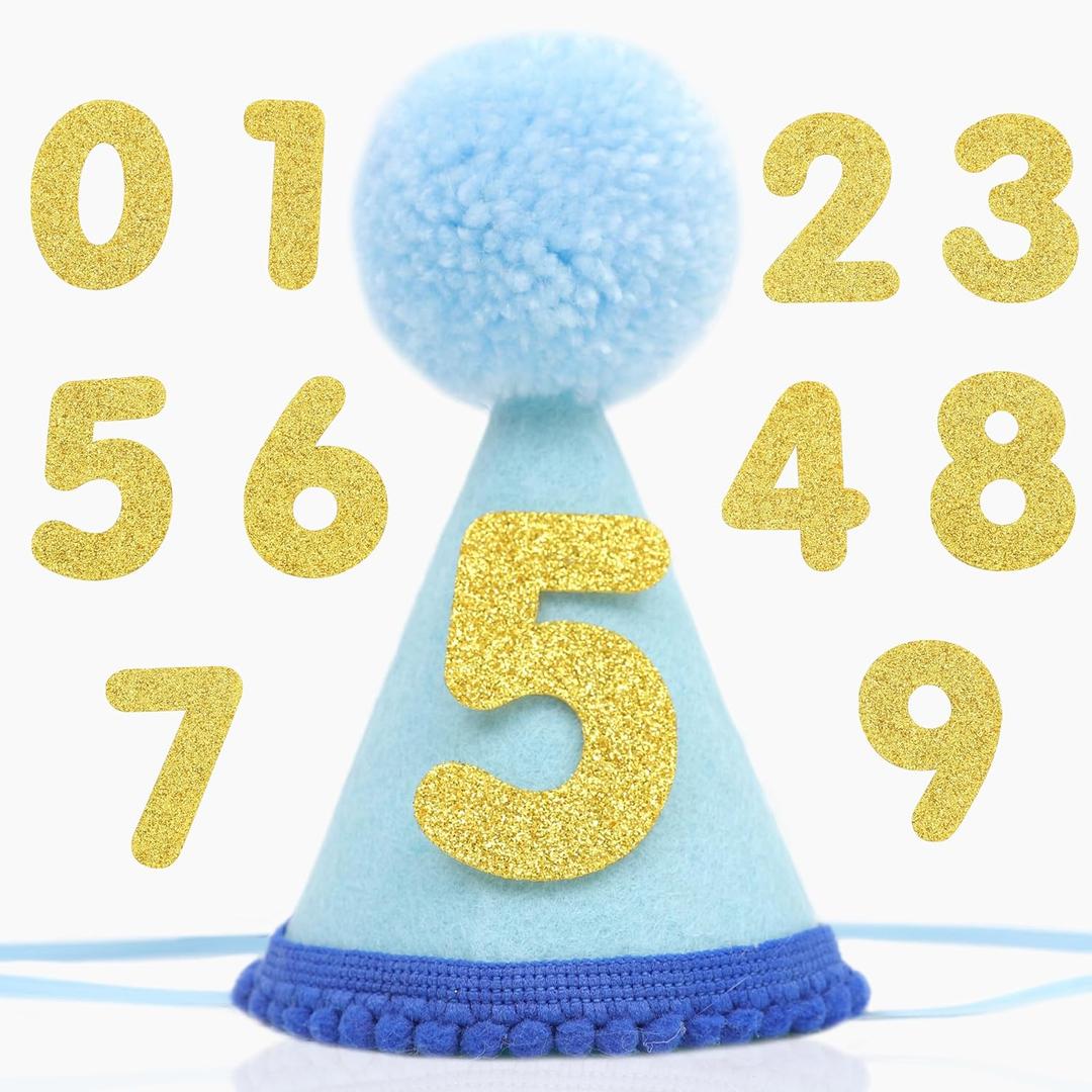 Pet Birthday Hat with Interchangeable Numbers 1-10 | Adjustable Pet Party Cone Hat for Dogs & Cats | Puppy Birthday Photo Props for 1st to 10th Birthday Celebrations (Blue Birthday Pet Hat)